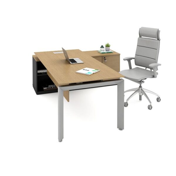 Mesa Diretoria Sedute