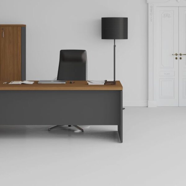Mesa Diretoria Relive
