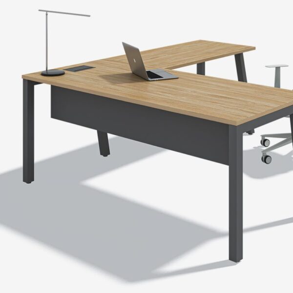 Mesa Diretoria Softline